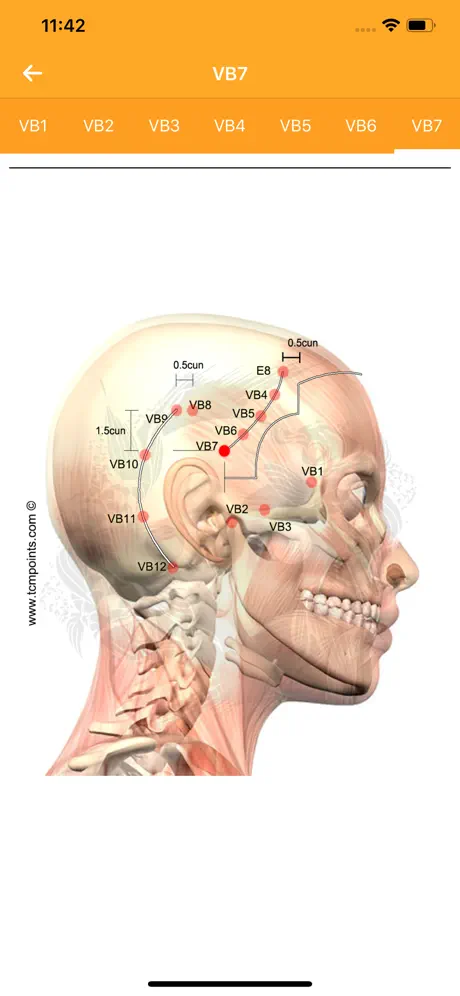 Acupuncture Assistant