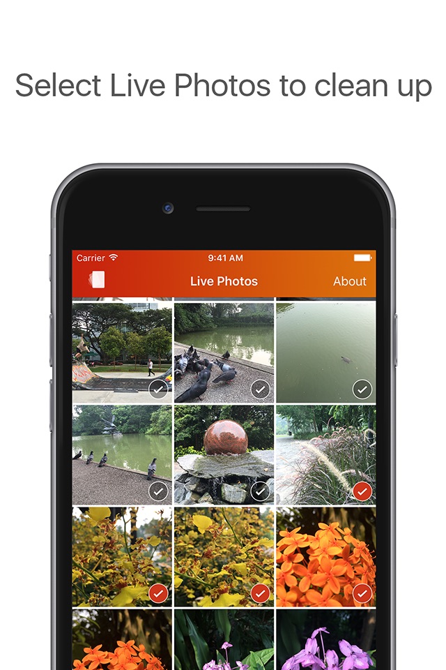 Lean - Clean up Live Photos screenshot 2