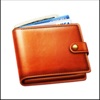 My Wallet: Income and Expense icon