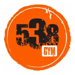 538 Gym App Problems