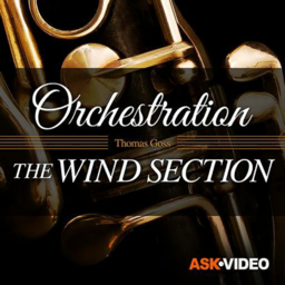 The Wind Section Guide