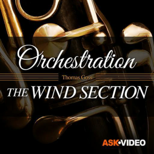 The Wind Section Guide