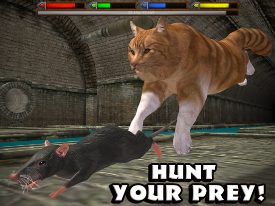 Screenshot #5 pour Ultimate Cat Simulator