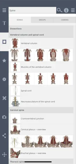 Game screenshot Primal's 3D Spine apk