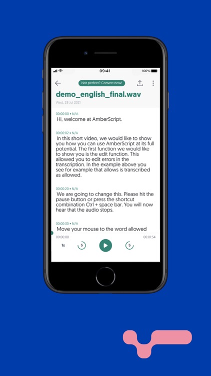 Transcribe voice to text screenshot-3