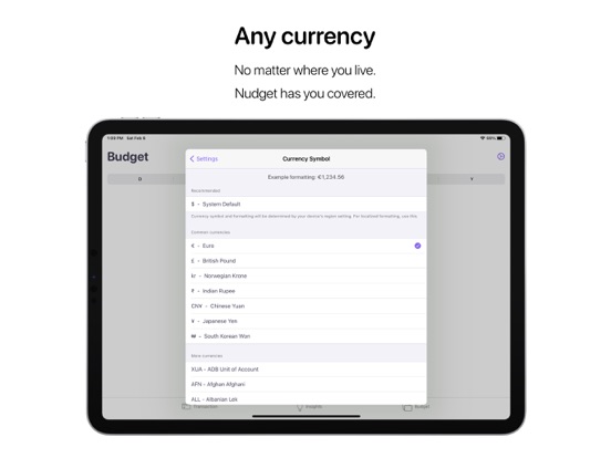 Nudget: Spending Tracker iPad app afbeelding 4