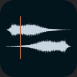 Download Auditor - Audio Editor app