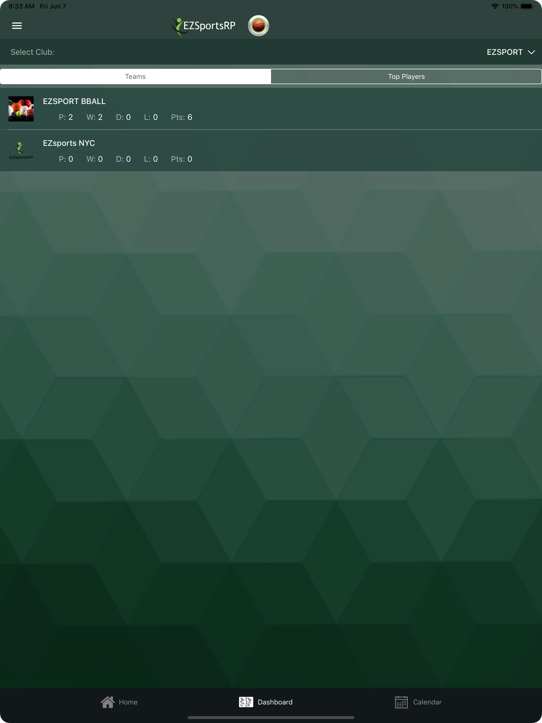 EZSportsRP screenshot 13
