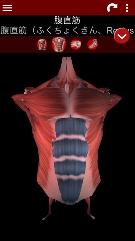 筋肉系3D（解剖学）のおすすめ画像2