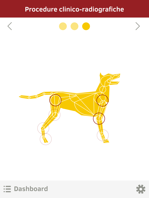 Screenshot #5 pour OrthovetPlus