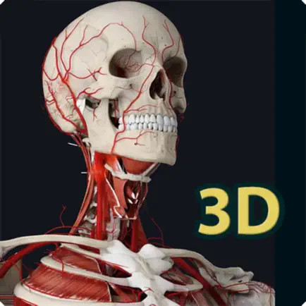 Human Anatomy 3D Cheats