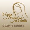 Rosario VP icon