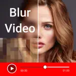 Video Mosaic Blur App Support