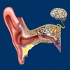 Ear ID icon