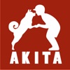 Akita’s NAVI icon