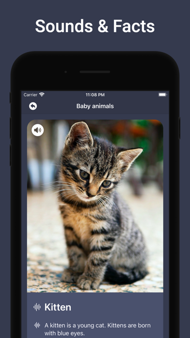 Animal Sounds & Bird Noises Screenshot