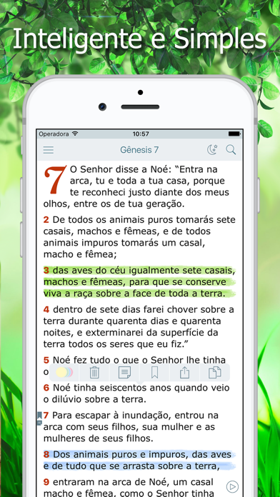 Bíblia Ave Maria de Estudo Screenshot