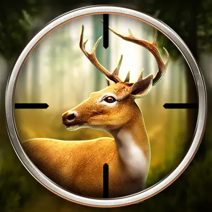 Deer Hunter! Cheats