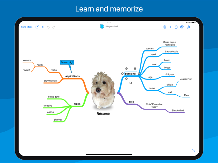 SimpleMind Pro - Mind Mapping