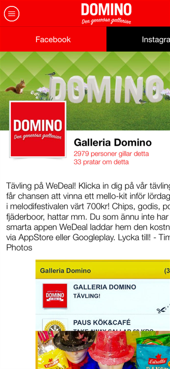 Galleria DOMINO Intern