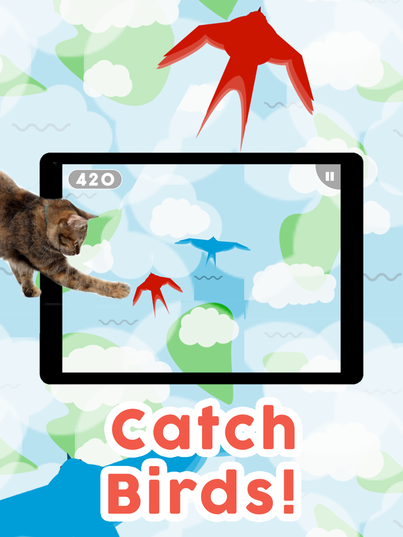 Games for Cats! official gameplay screenshot 3