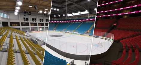 Hockey All Stars 24 - Explore the detailed architecture of multiple stadium interiors, showcasing diverse seating arrangements and unique rink designs.
