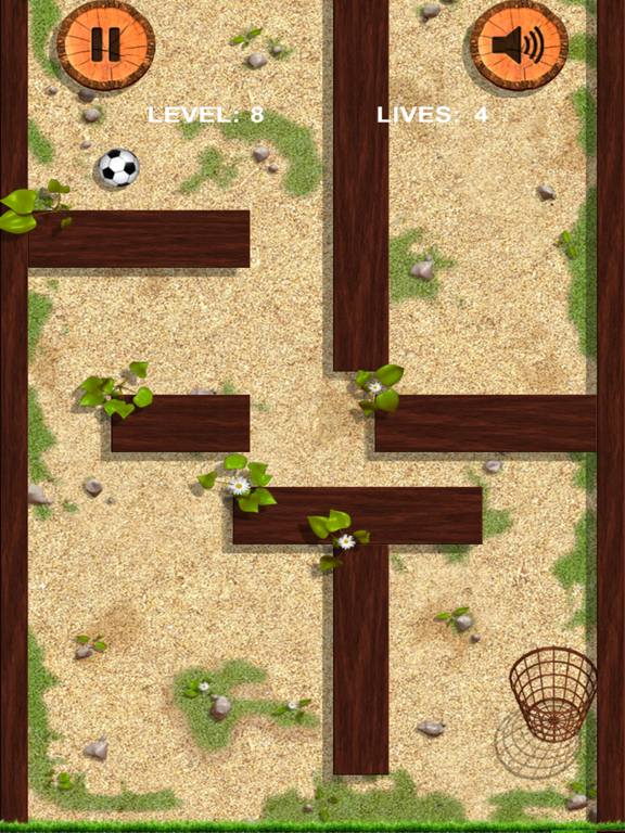 Ball and basket. Ball and wall iPad screenshot