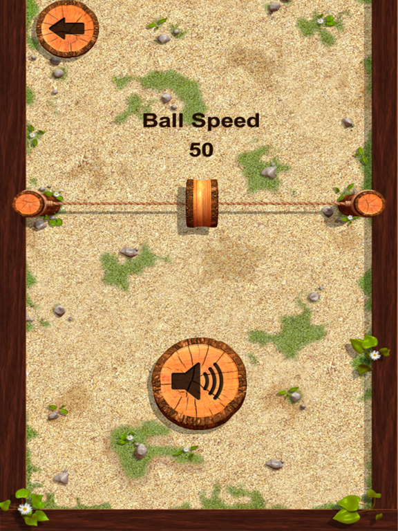 Ball and basket. Ball and wall iPad screenshot