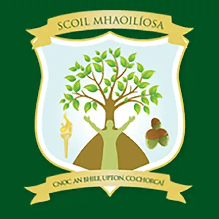 Scoil Mhaoilíosa Cheats