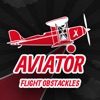 Aviator: Flight Obstackles icon