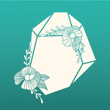 D'rock Wellness Читы