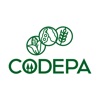 Codepa - iPhoneアプリ