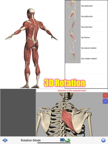 Visual Anatomy Liteのおすすめ画像7