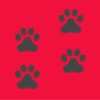 Dog Breed Camera icon