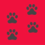 Download Dog Breed Camera app