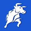 BlackBull Shares Trading - Black Bull Group Limited