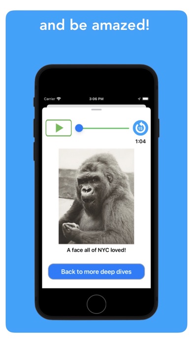 SeeNYC Central Park Screenshot