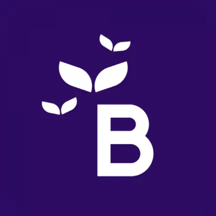 Birdt: Free Your Mental Health Cheats