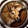 Wild Hunting: 3D Shooting Game icon