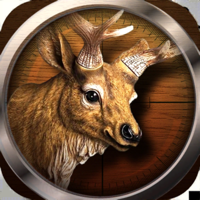 Wild Hunting 3D Shooting Game
