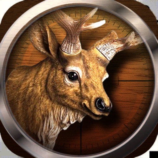 Wild Hunting: 3D Shooting Game