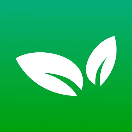 OtisHealth Cheats