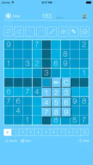 sudoku² problems & solutions and troubleshooting guide - 1