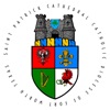 saintpatrickcathedralfortworth icon