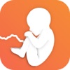 Pregnancy Mentor - Baby birth icon