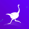 Ostrich: Social Finance - Ostrich