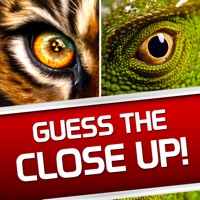 Contact Guess the Close Up - Pics Quiz