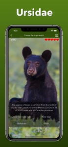 Animals Kingdom: Zoo Wild Quiz screenshot #4 for iPhone
