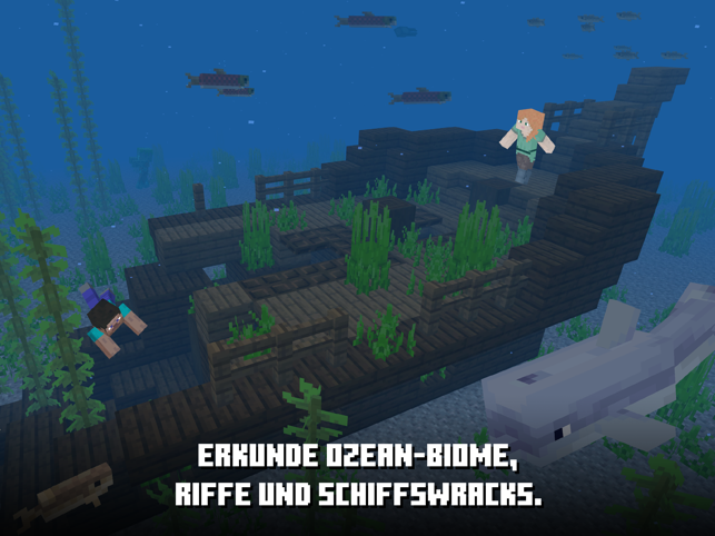 ‎Minecraft Screenshot