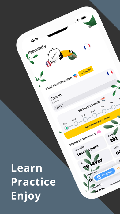 Flashcards - Learn French Screenshot